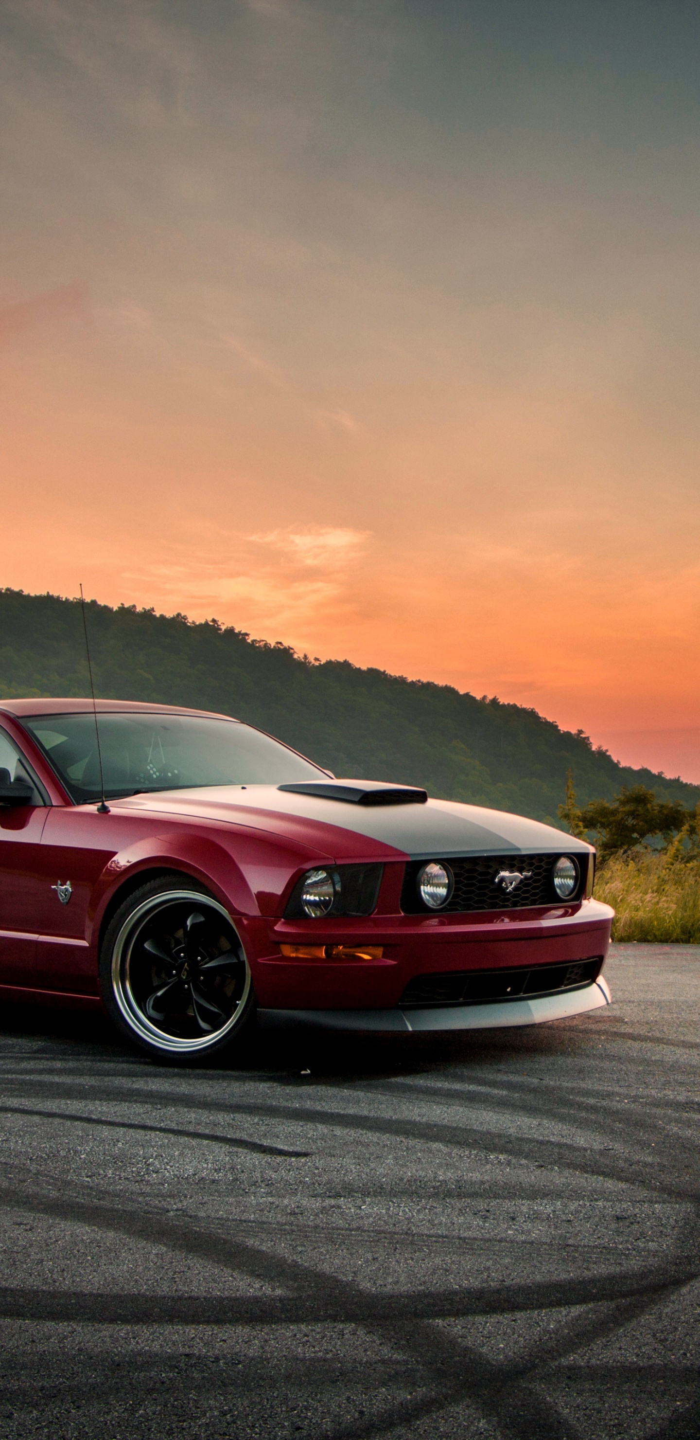 Ford Mustang, Coche, Mustang Boss 302, Carro de Lujo, Deportivo. Wallpaper in 1440x2960 Resolution