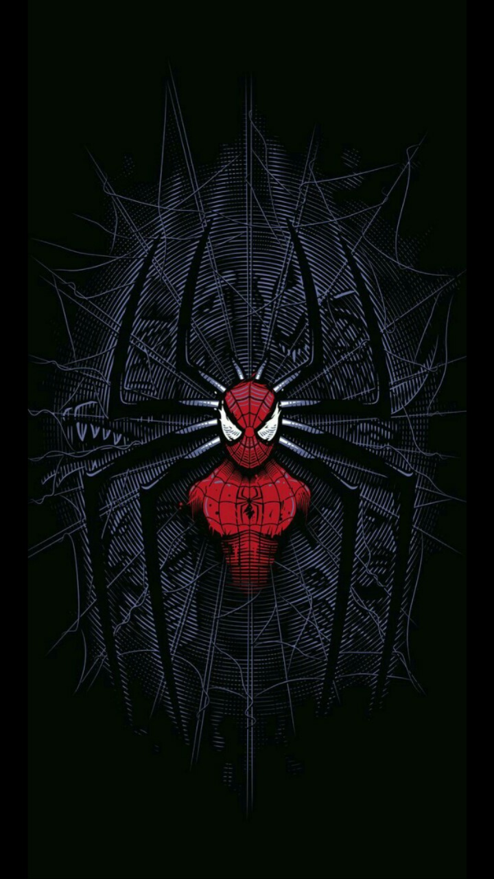 Spider-man, Corps Humain, Manche, Art, Insecte. Wallpaper in 720x1280 Resolution