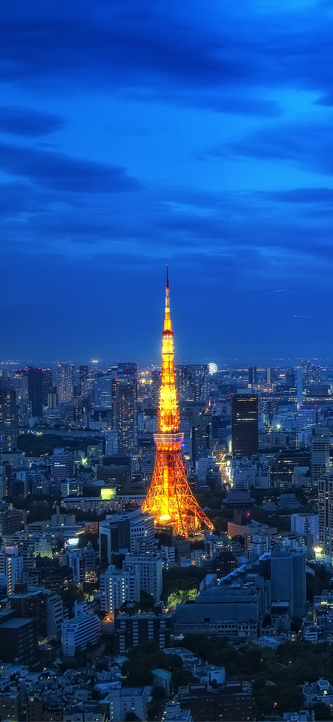 Skyline Der Stadt Unter Blauem Himmel Während Der Nacht. Wallpaper in 1125x2436 Resolution