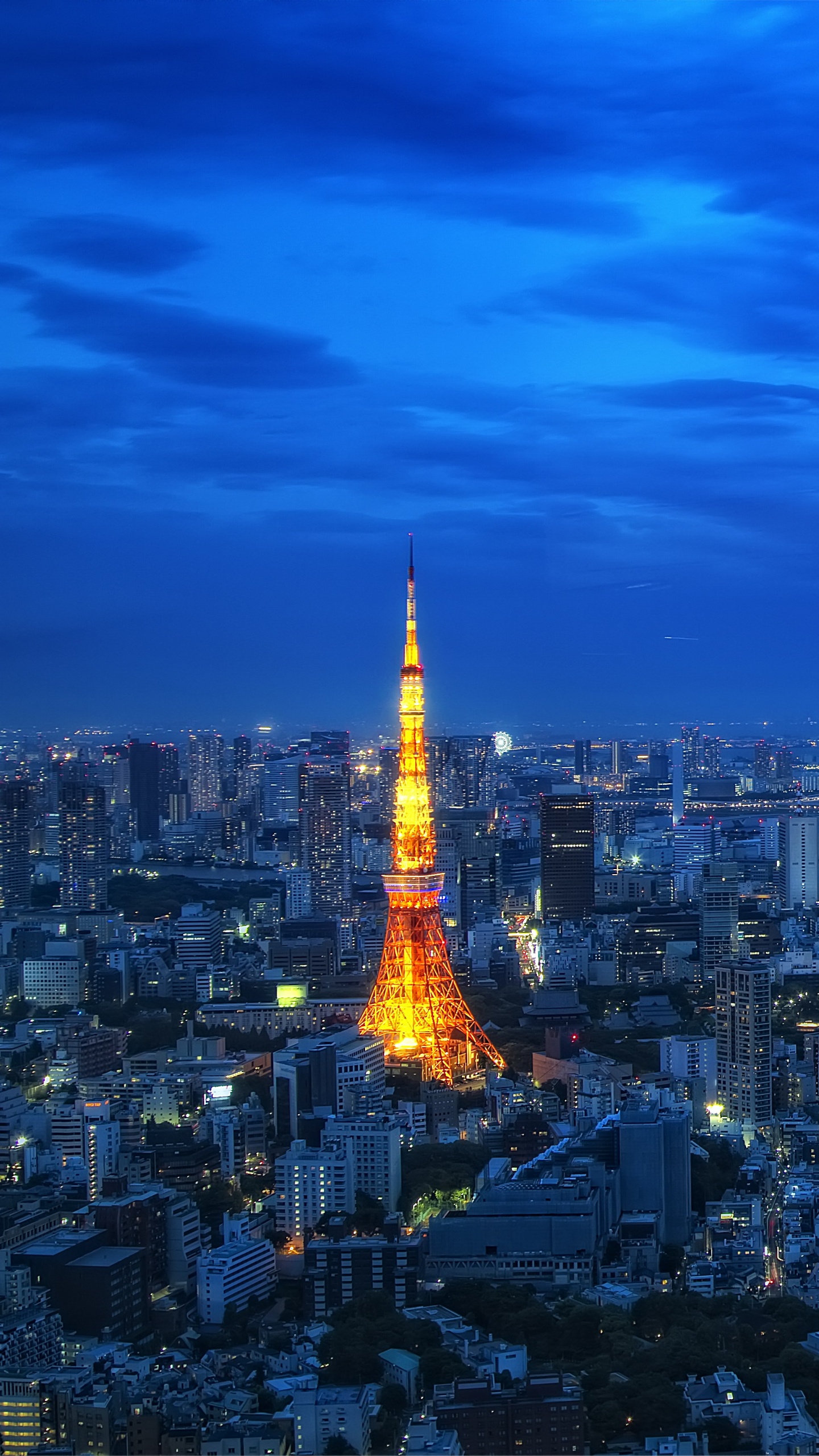 Skyline Der Stadt Unter Blauem Himmel Während Der Nacht. Wallpaper in 1440x2560 Resolution