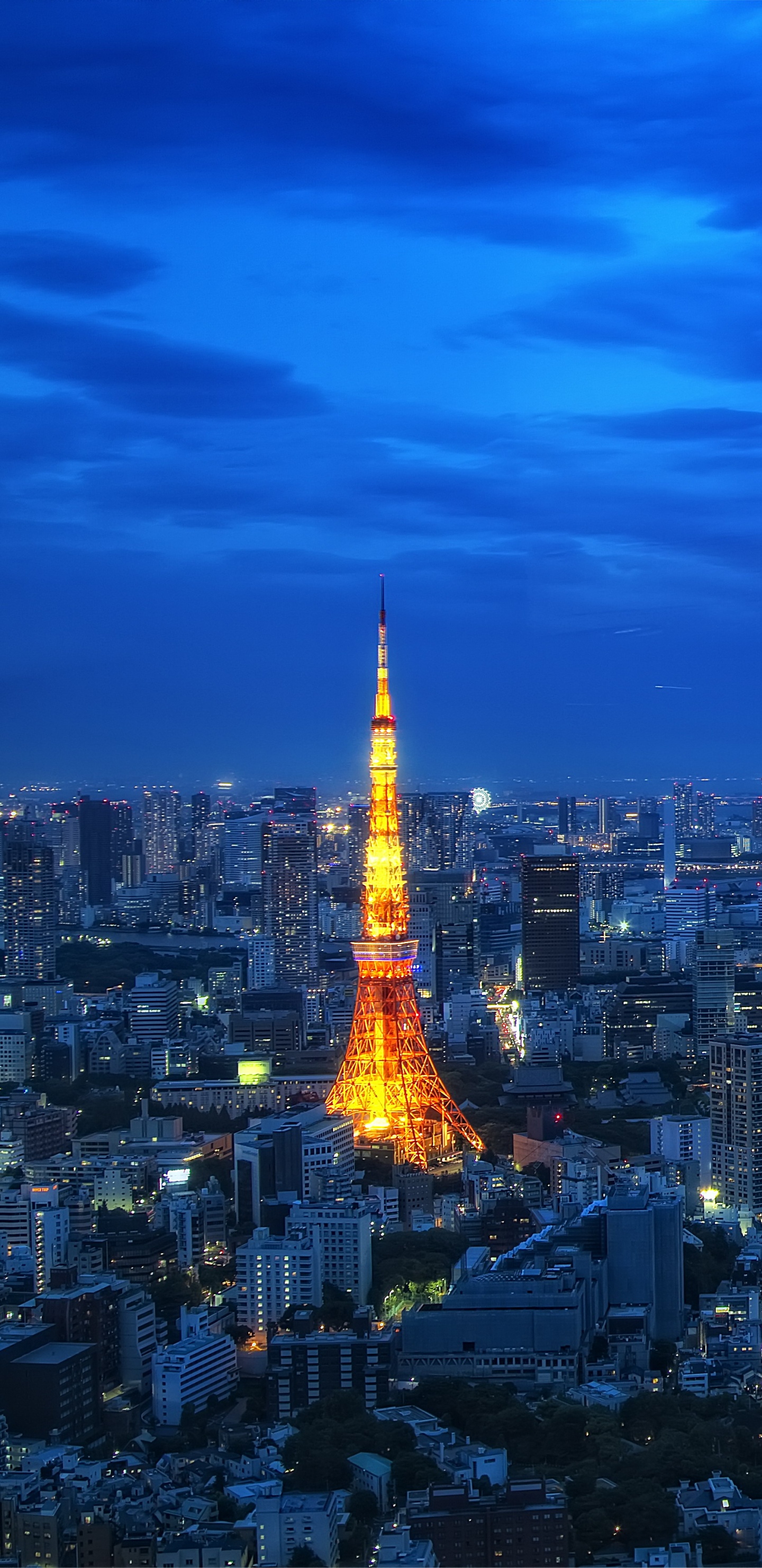 Skyline Der Stadt Unter Blauem Himmel Während Der Nacht. Wallpaper in 1440x2960 Resolution