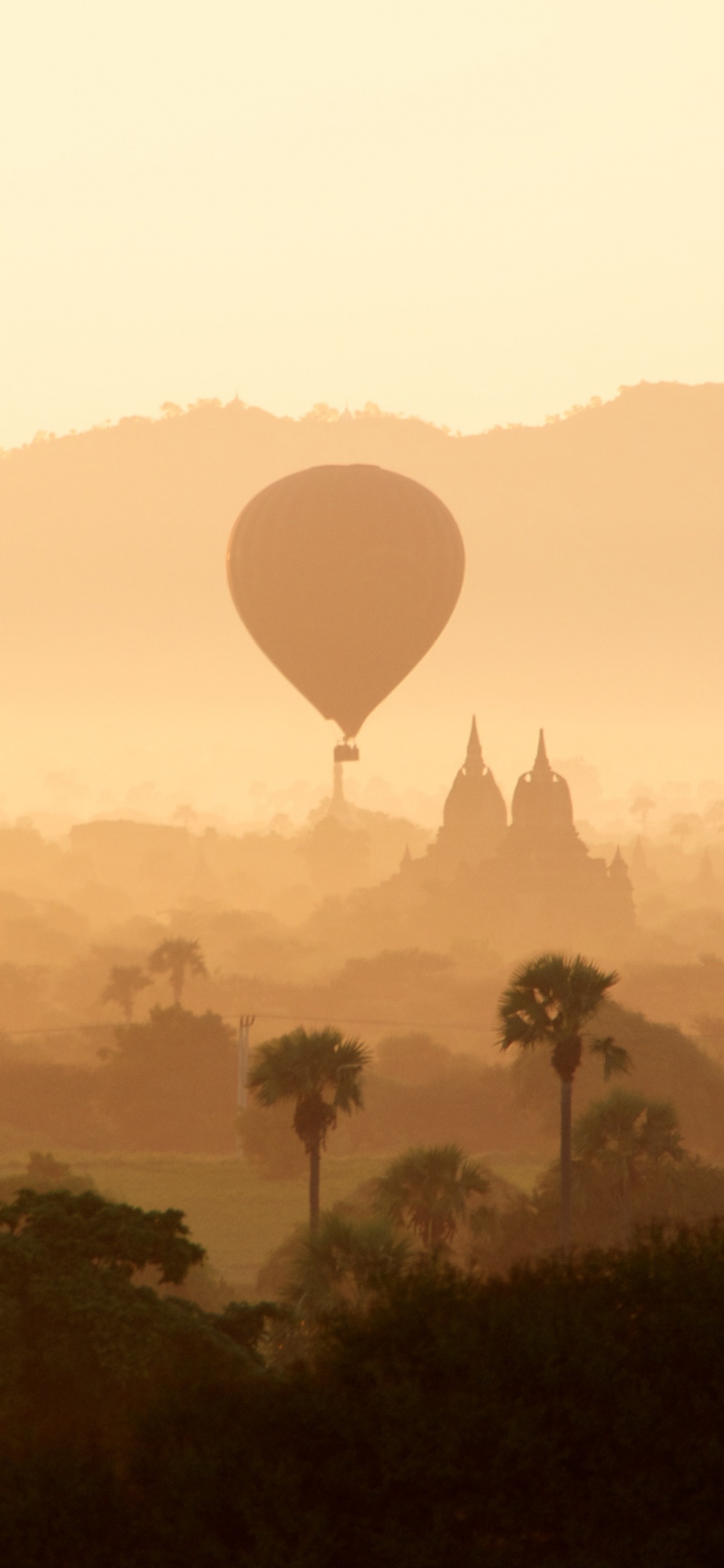 Balloon, Hot Air Balloon, Hot Air Ballooning, Morning, Atmosphere. Wallpaper in 1125x2436 Resolution