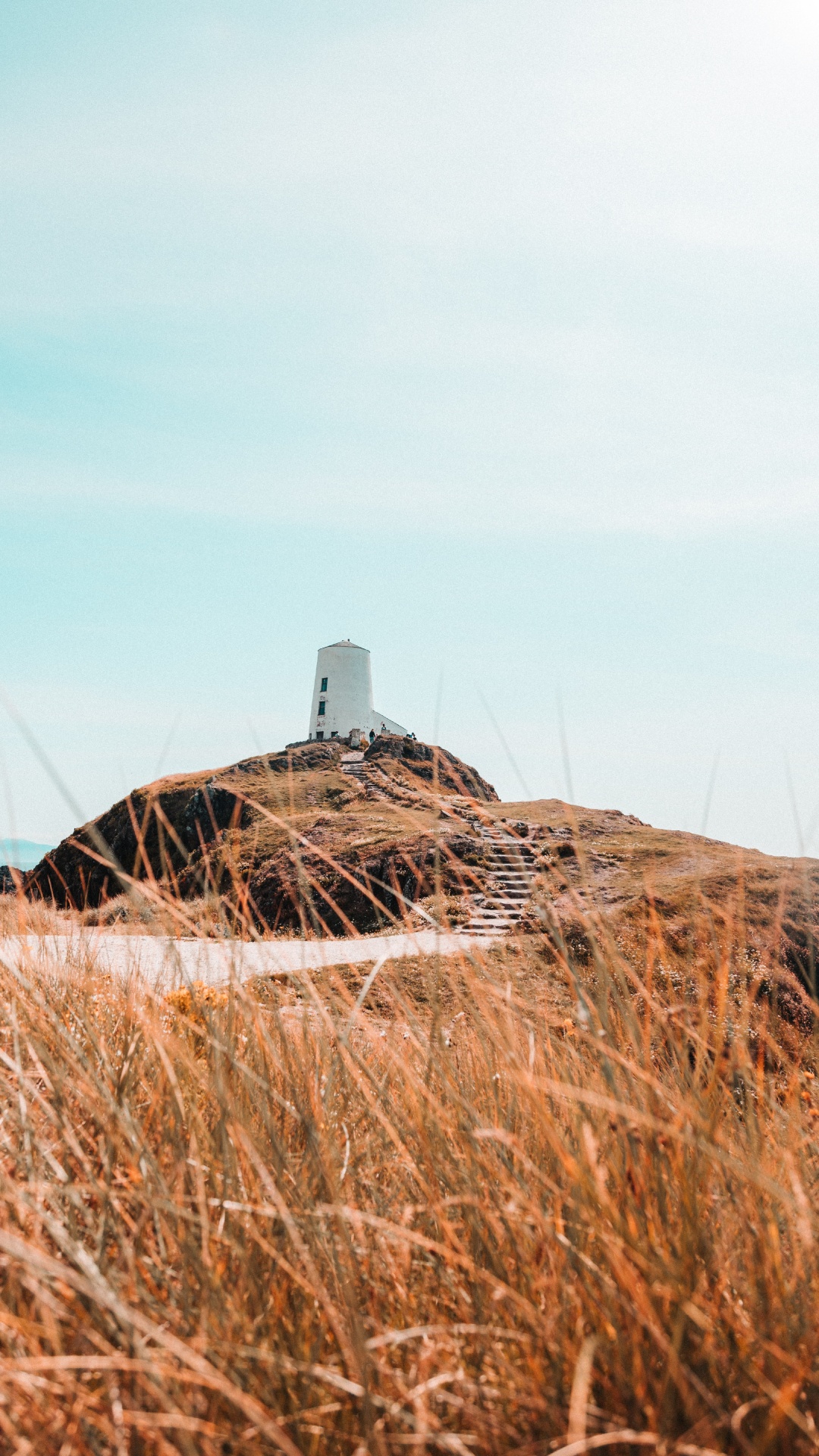 草家庭, 干草, 稻草, 草, 性质 壁纸 1080x1920 允许