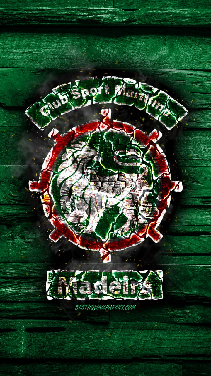 Firmenzeichen, Emblem, Grafik-design, Crest, Illustration. Wallpaper in 720x1280 Resolution