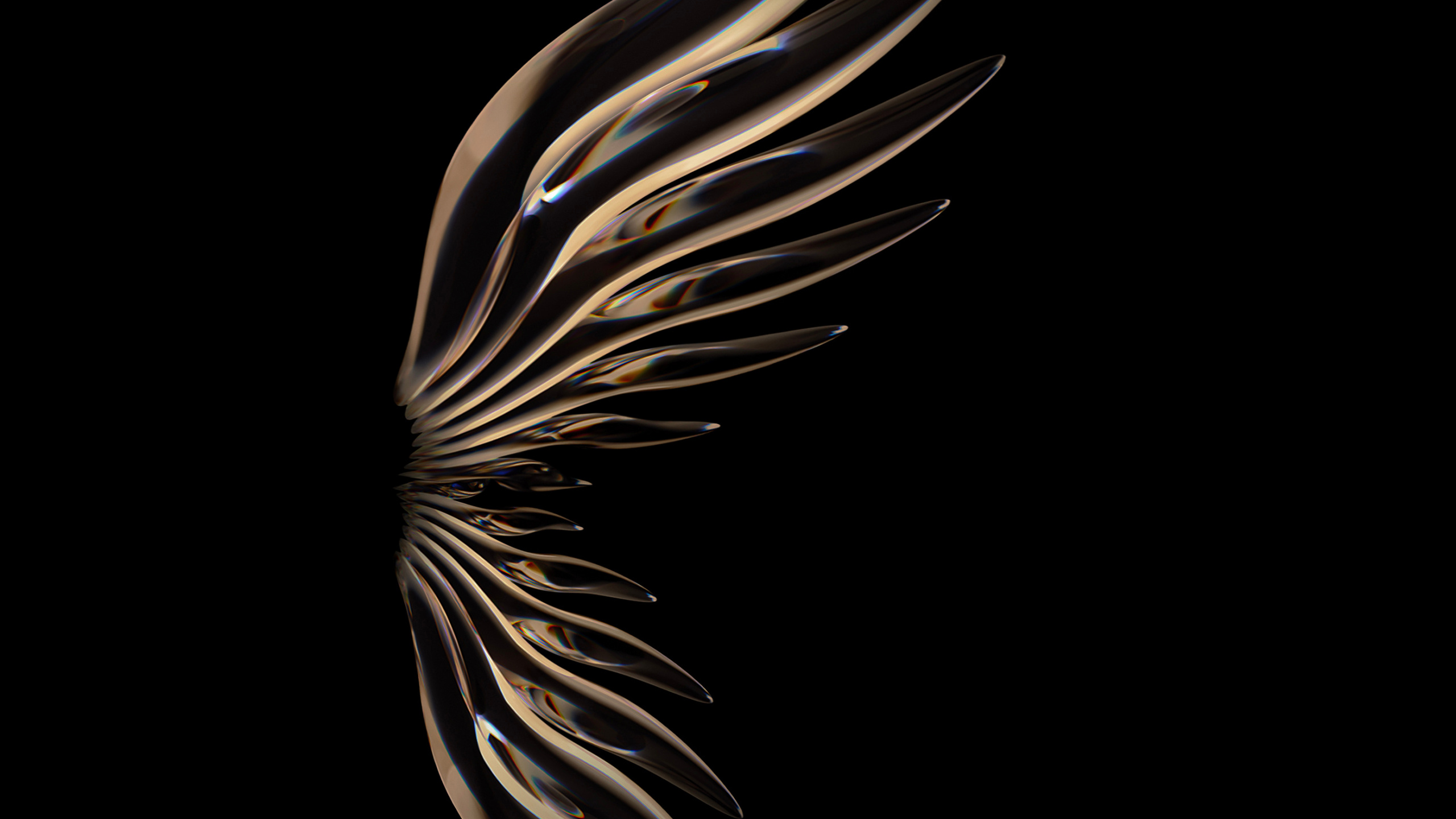 华为p50, Huawei, 华为p50口袋, 智能手机, 羽毛 壁纸 2560x1440 允许