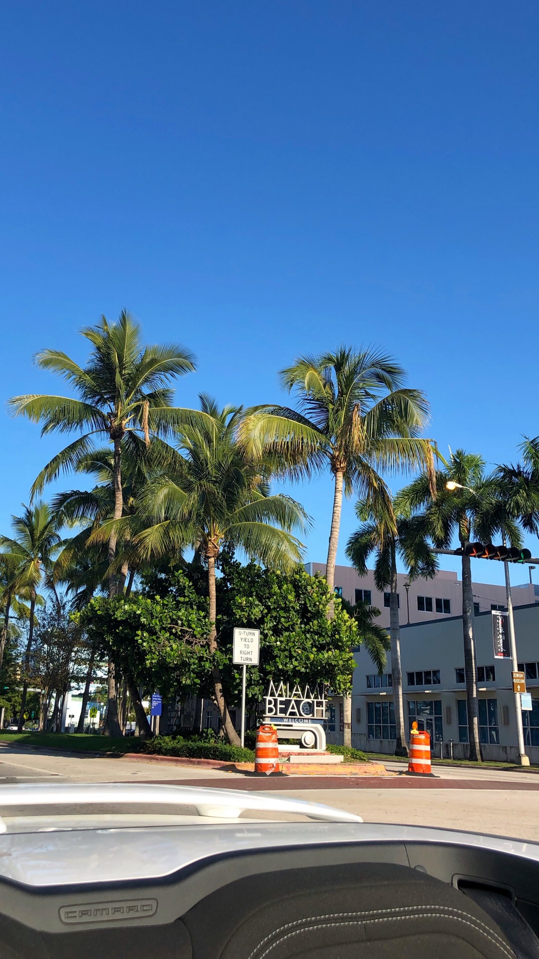 Palm Trees, Date Palm, Body of Water, Road, Nature. Wallpaper in 1080x1920 Resolution