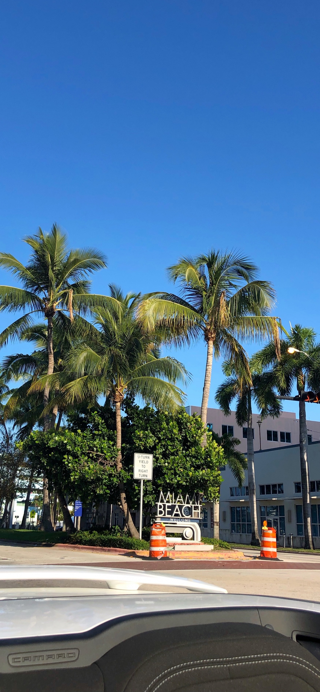Palm Trees, Date Palm, Body of Water, Road, Nature. Wallpaper in 1242x2688 Resolution