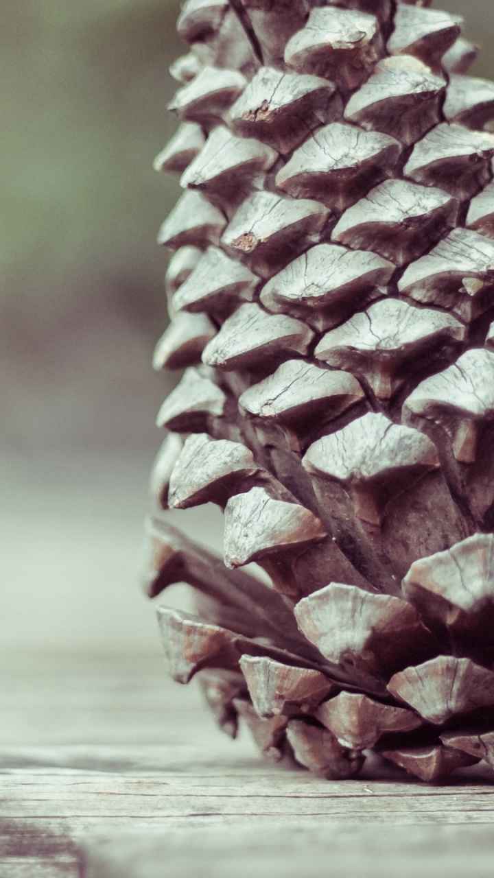 Brown Pine Cone on Brown Wooden Plank. Wallpaper in 720x1280 Resolution