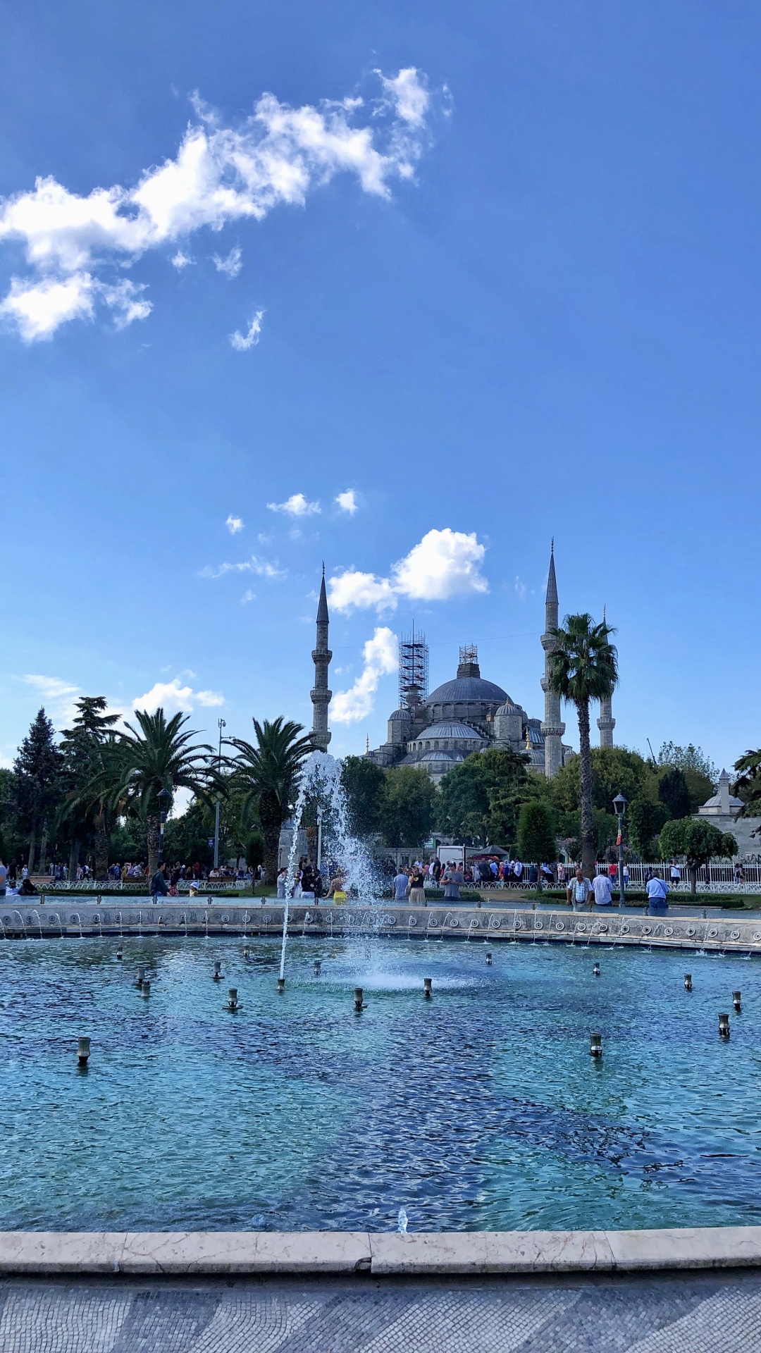 Palm Trees, Body of Water, Water, Water Resources, Town. Wallpaper in 1080x1920 Resolution