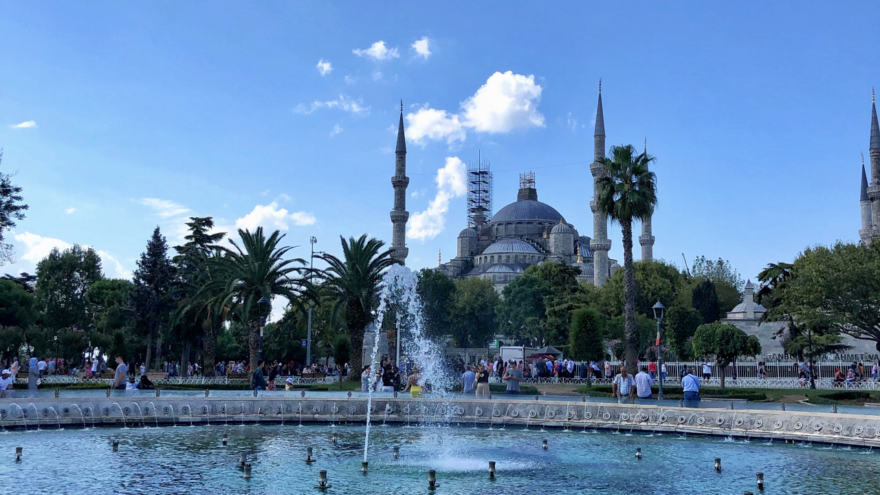 Palm Trees, Body of Water, Water, Water Resources, Town. Wallpaper in 1280x720 Resolution