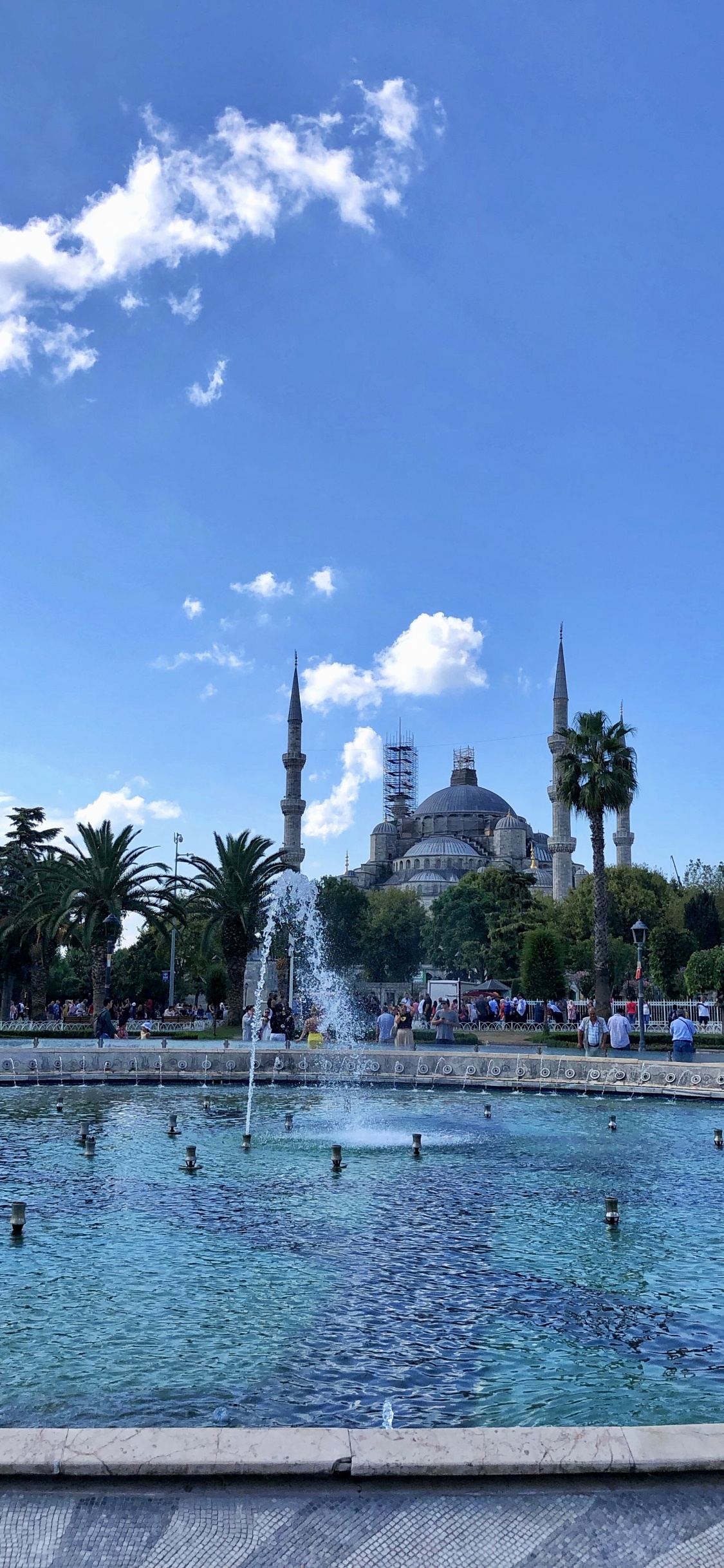 Palmera, Cuerpo de Agua, Agua, Los Recursos de Agua, Ciudad. Wallpaper in 1125x2436 Resolution