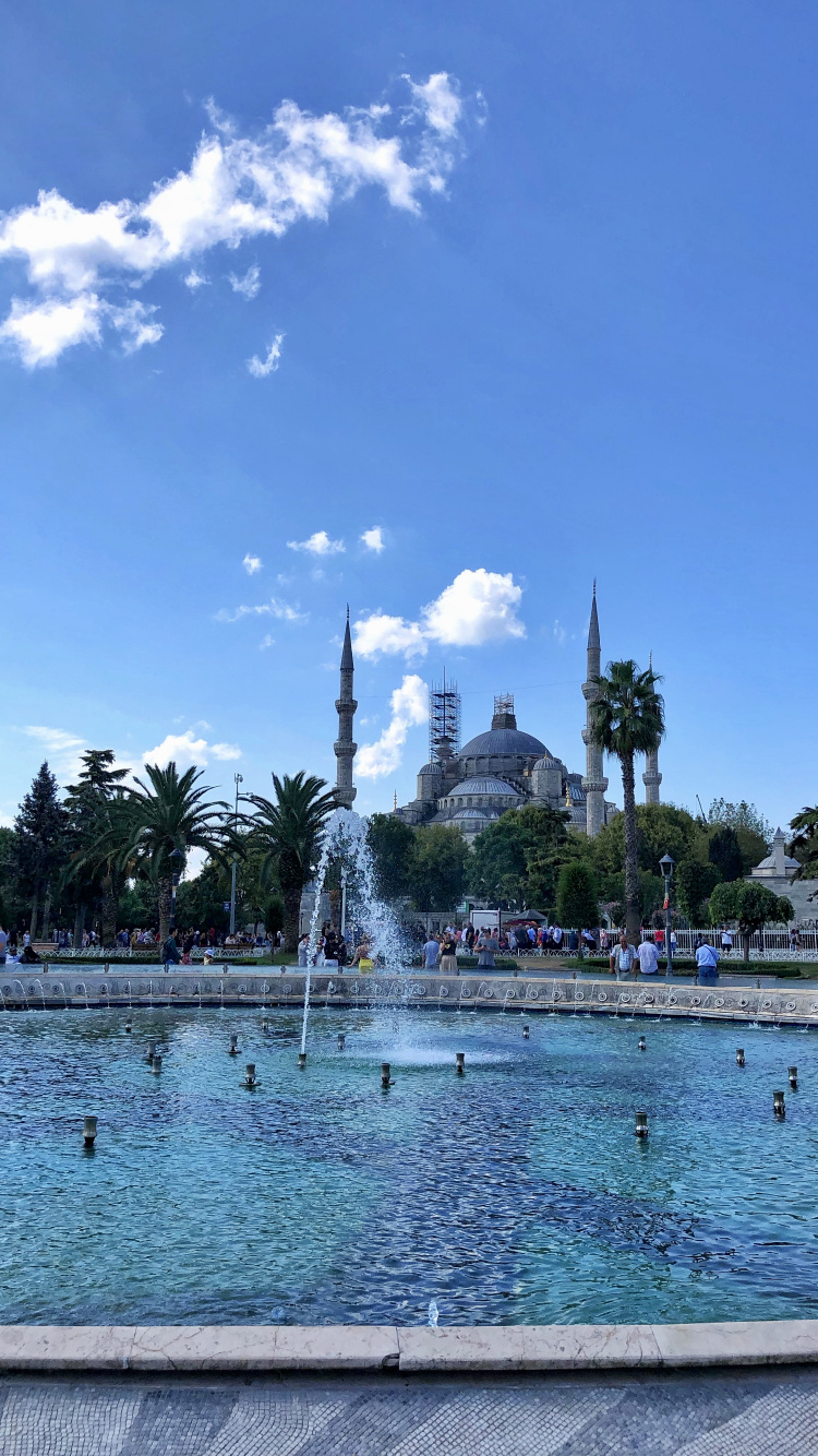 Palmera, Cuerpo de Agua, Agua, Los Recursos de Agua, Ciudad. Wallpaper in 750x1334 Resolution