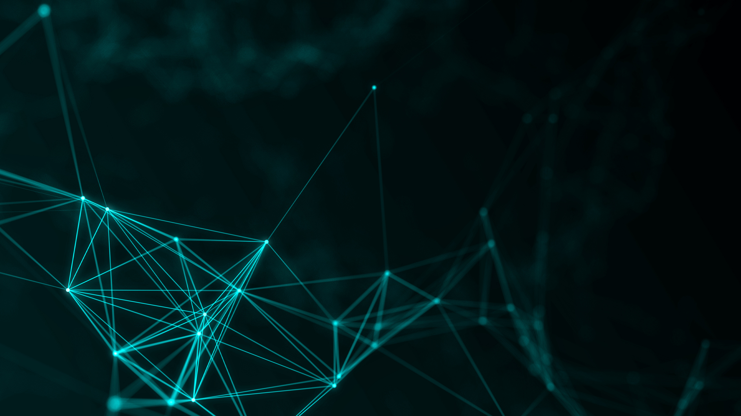 White String Lights in Black Background. Wallpaper in 2560x1440 Resolution