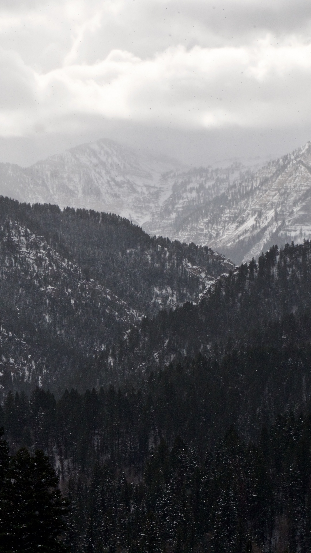 山脉, 多山的地貌, 荒野, 云杉林, 阿尔卑斯山 壁纸 1080x1920 允许