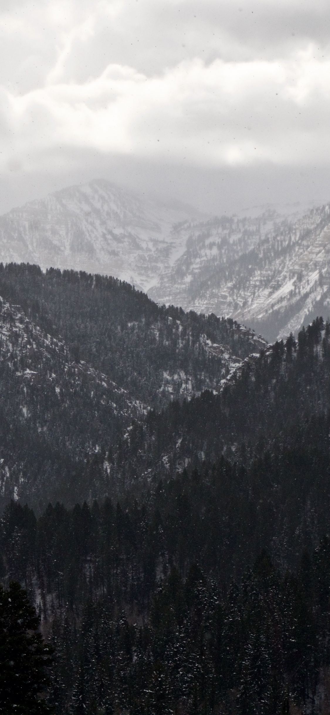 山脉, 多山的地貌, 荒野, 云杉林, 阿尔卑斯山 壁纸 1125x2436 允许
