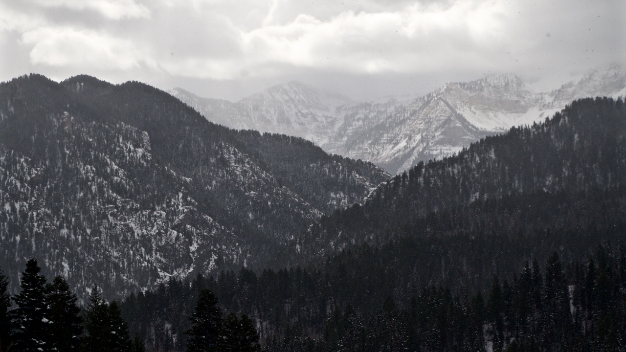 山脉, 多山的地貌, 荒野, 云杉林, 阿尔卑斯山 壁纸 1280x720 允许