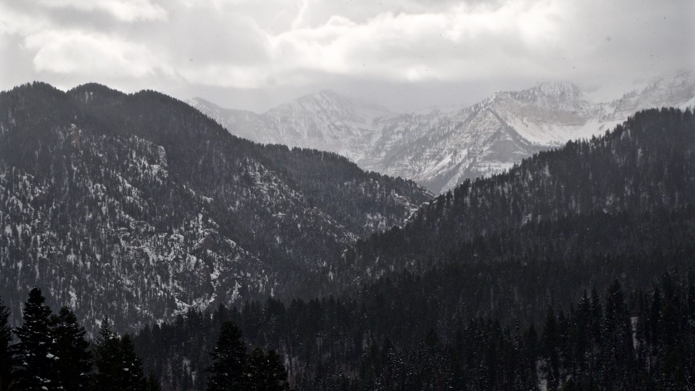 山脉, 多山的地貌, 荒野, 云杉林, 阿尔卑斯山 壁纸 1366x768 允许