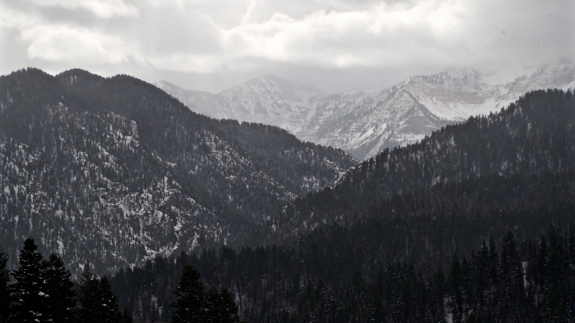 山脉, 多山的地貌, 荒野, 云杉林, 阿尔卑斯山 壁纸 1920x1080 允许
