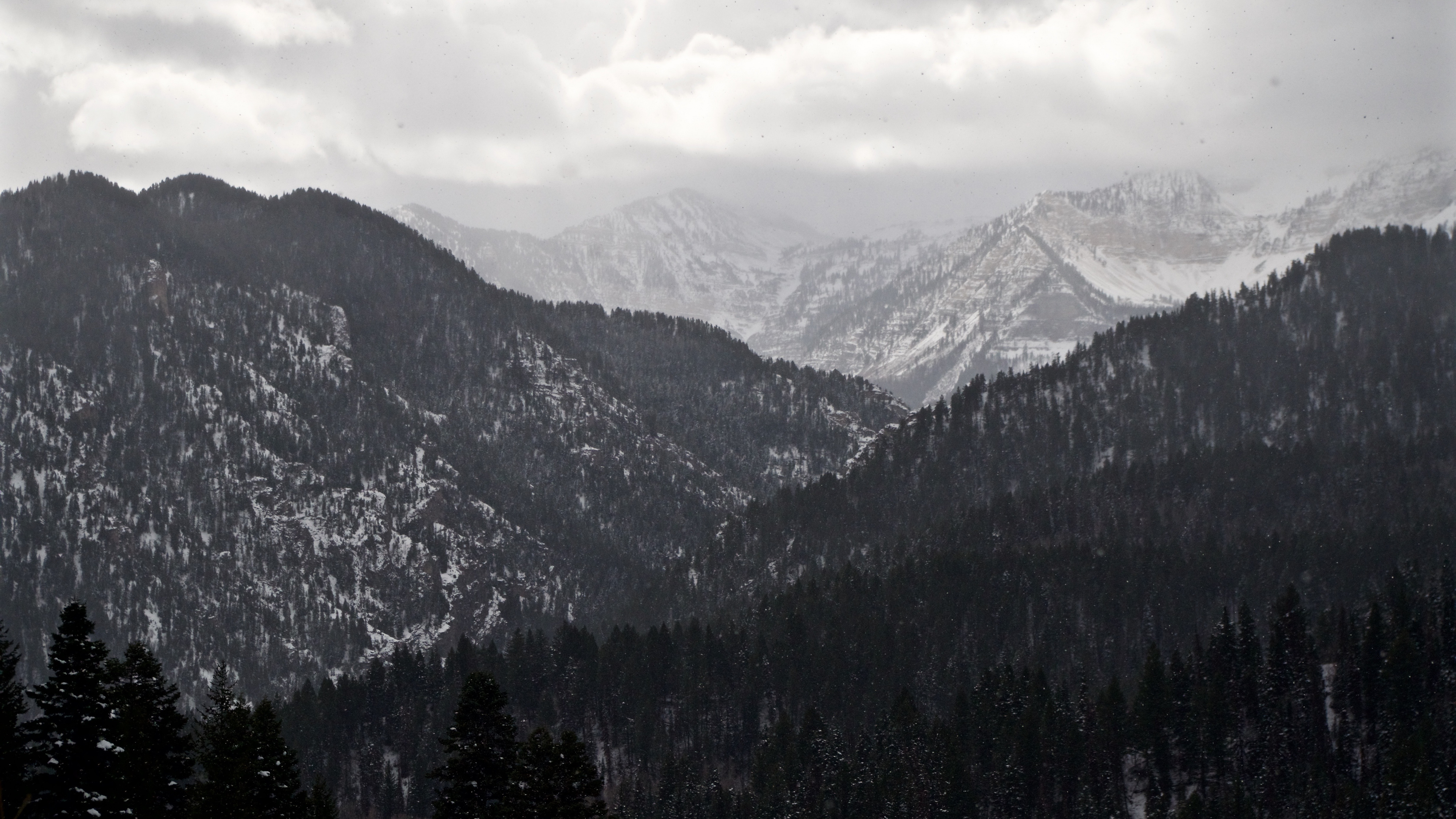 山脉, 多山的地貌, 荒野, 云杉林, 阿尔卑斯山 壁纸 3840x2160 允许