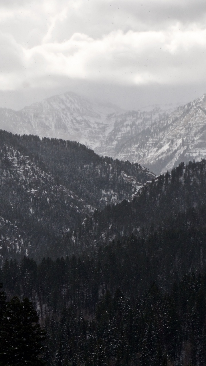 山脉, 多山的地貌, 荒野, 云杉林, 阿尔卑斯山 壁纸 720x1280 允许
