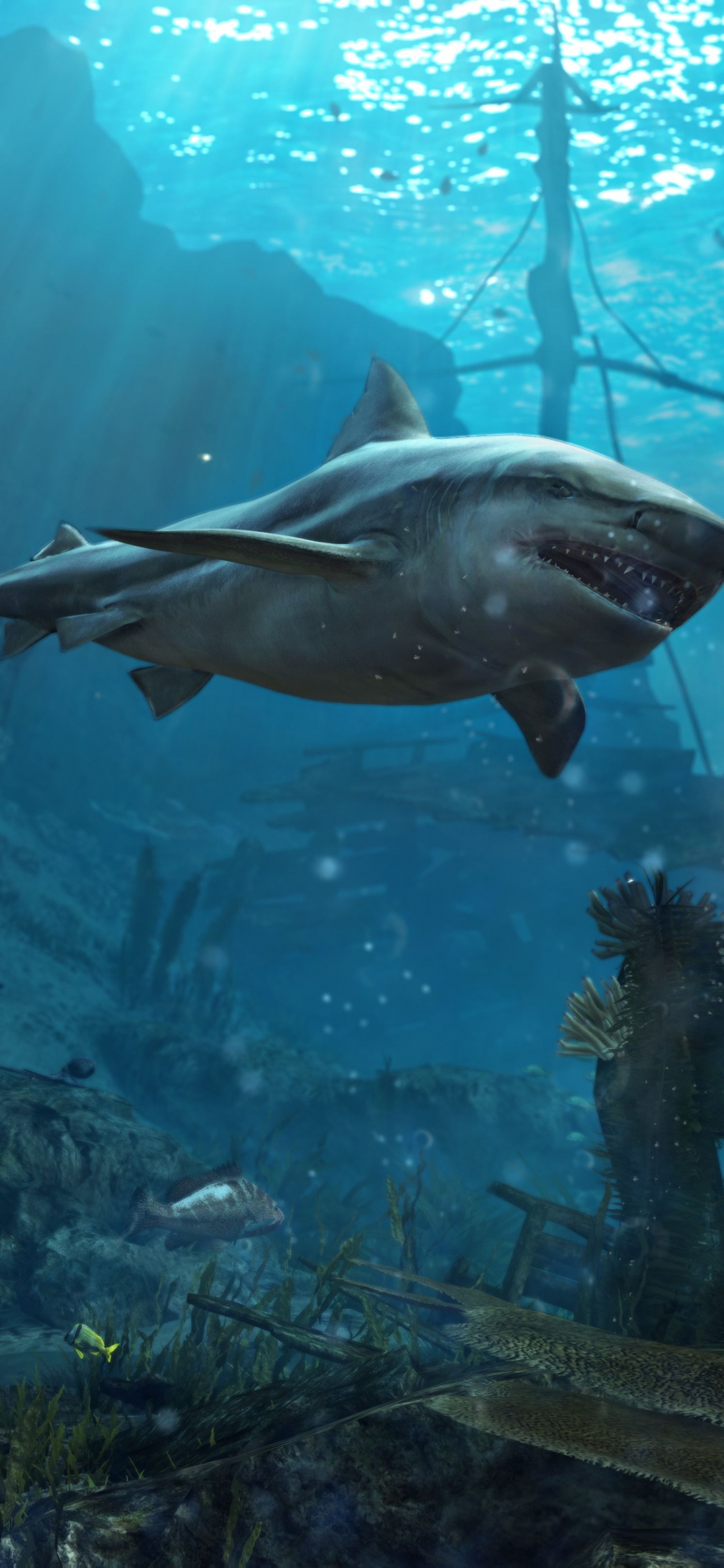 Ubisoft, Ubisoft Montreal, Unterwasser, Marine Biologie, Fisch. Wallpaper in 1125x2436 Resolution