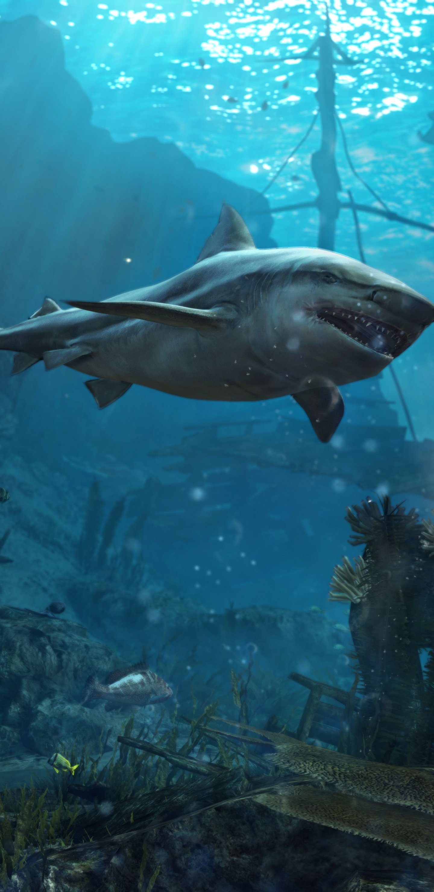 Ubisoft, Ubisoft Montreal, Unterwasser, Marine Biologie, Fisch. Wallpaper in 1440x2960 Resolution