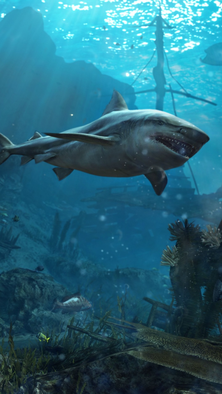 Ubisoft, Ubisoft Montreal, Unterwasser, Marine Biologie, Fisch. Wallpaper in 720x1280 Resolution