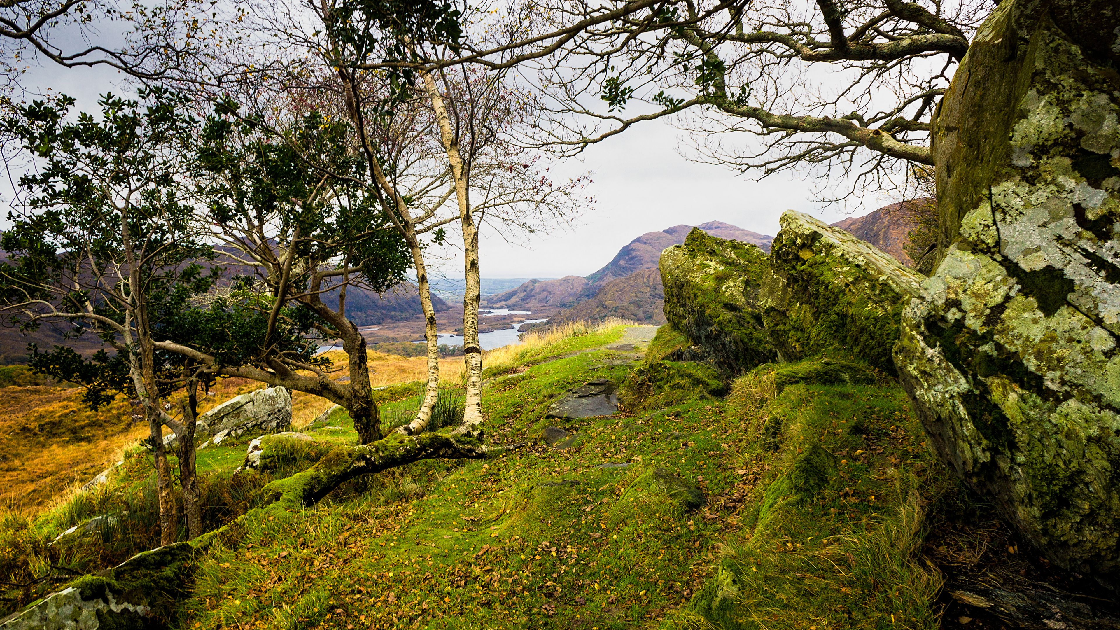 Campo de Hierba Verde Cerca Del Cuerpo de Agua Durante el Día. Wallpaper in 3840x2160 Resolution