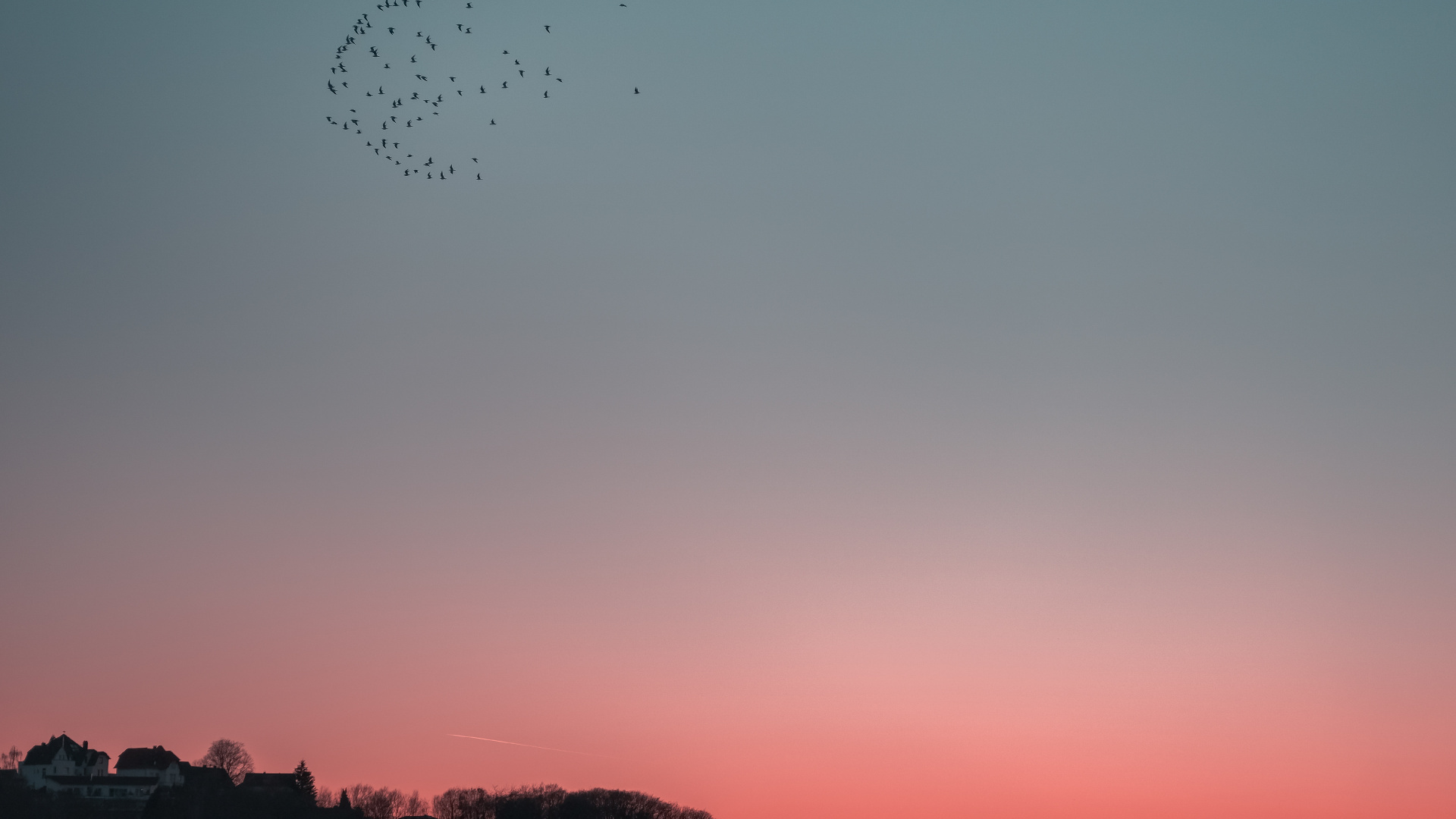 Bird Migration, Cloud, Abend, Horizont, Herde. Wallpaper in 1920x1080 Resolution