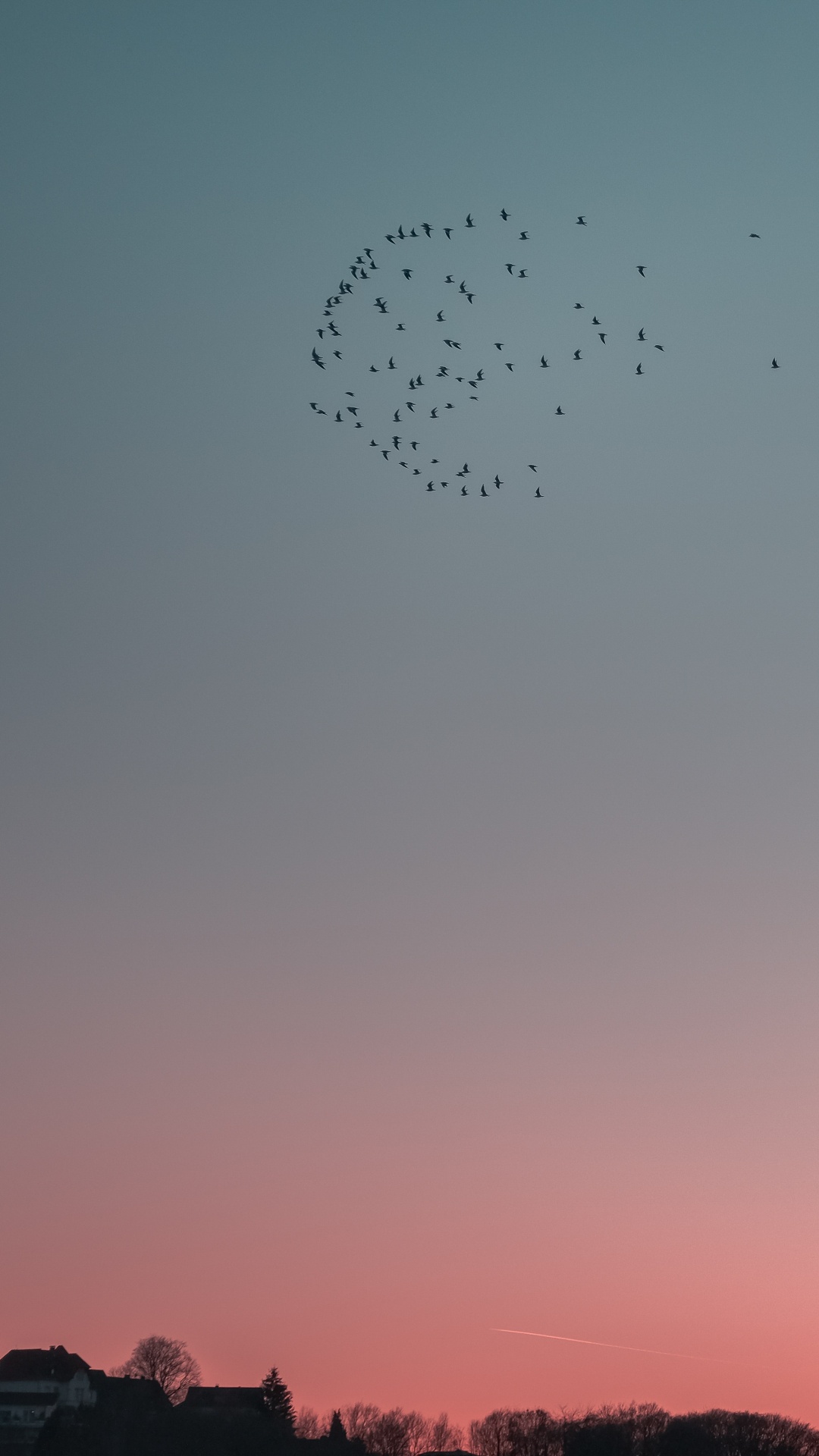 la Migración de Las Aves, Noche, Rebaño, Ave. Wallpaper in 1080x1920 Resolution