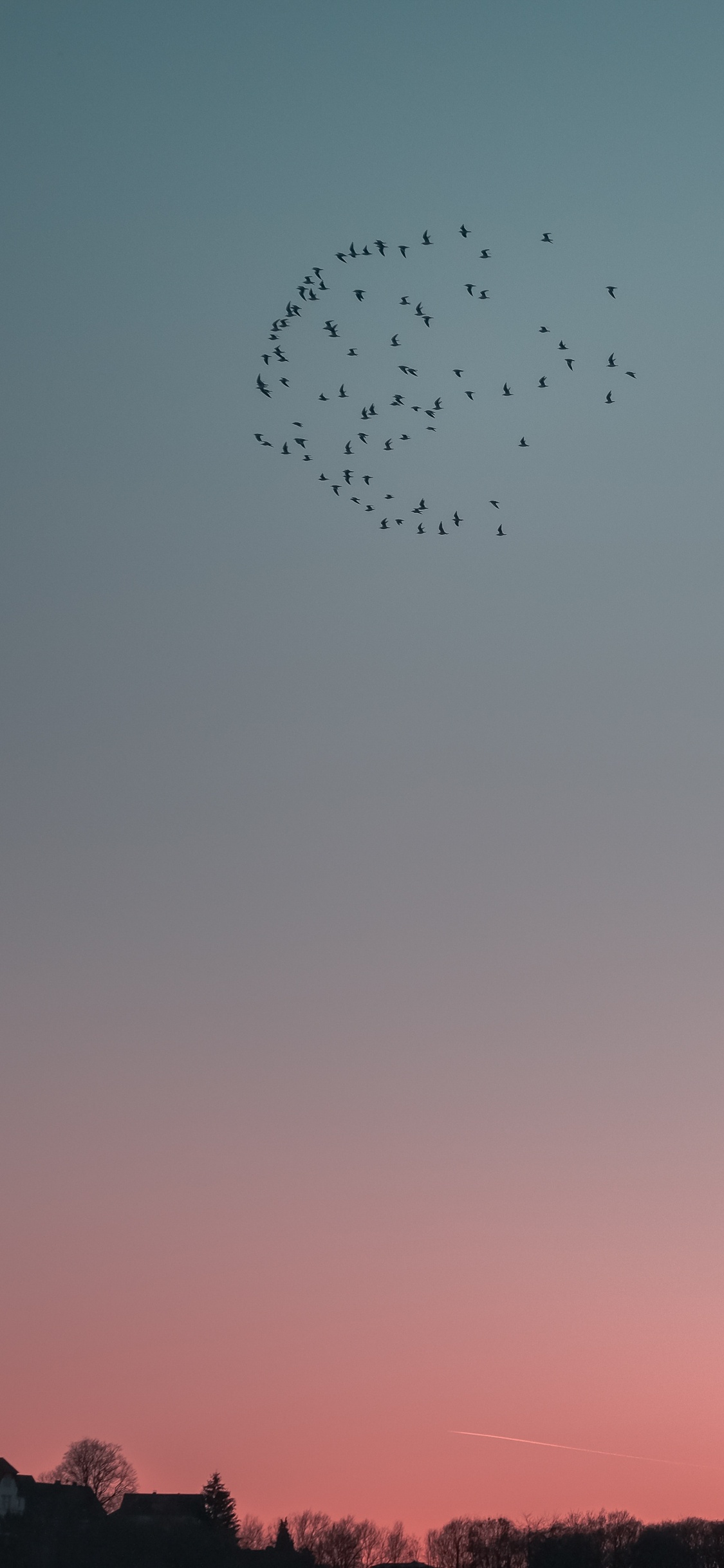 la Migración de Las Aves, Noche, Rebaño, Ave. Wallpaper in 1125x2436 Resolution