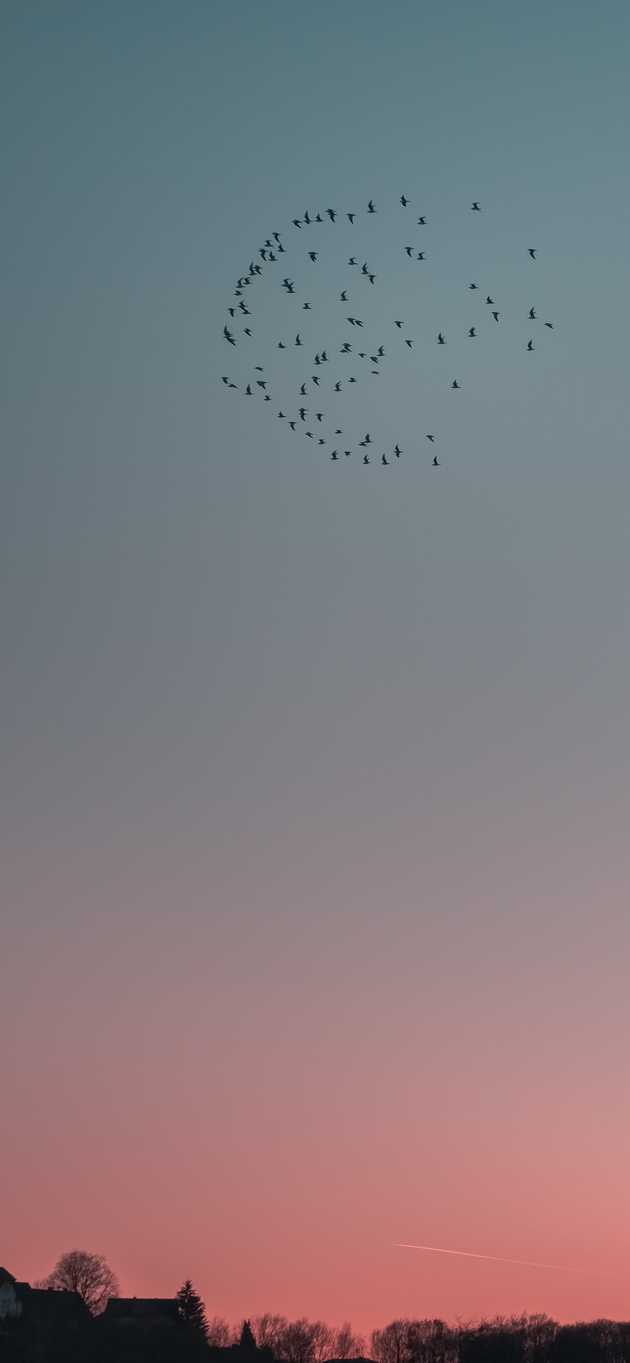 la Migración de Las Aves, Noche, Rebaño, Ave. Wallpaper in 1242x2688 Resolution