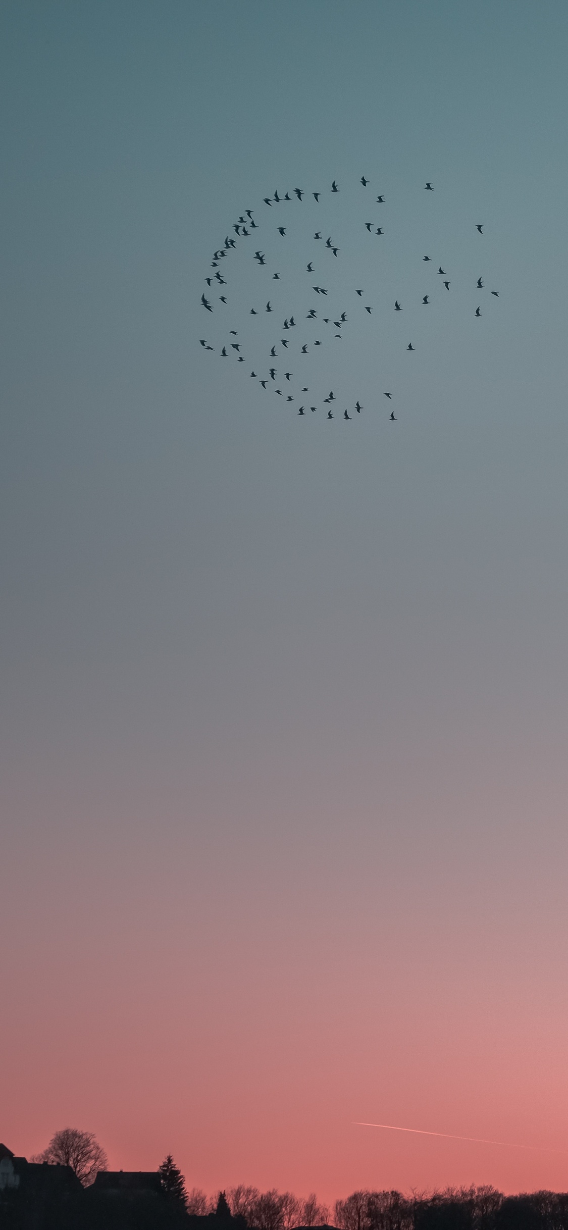 la Migration Des Oiseaux, Soir, Horizon, Troupeau, Oiseau. Wallpaper in 1125x2436 Resolution