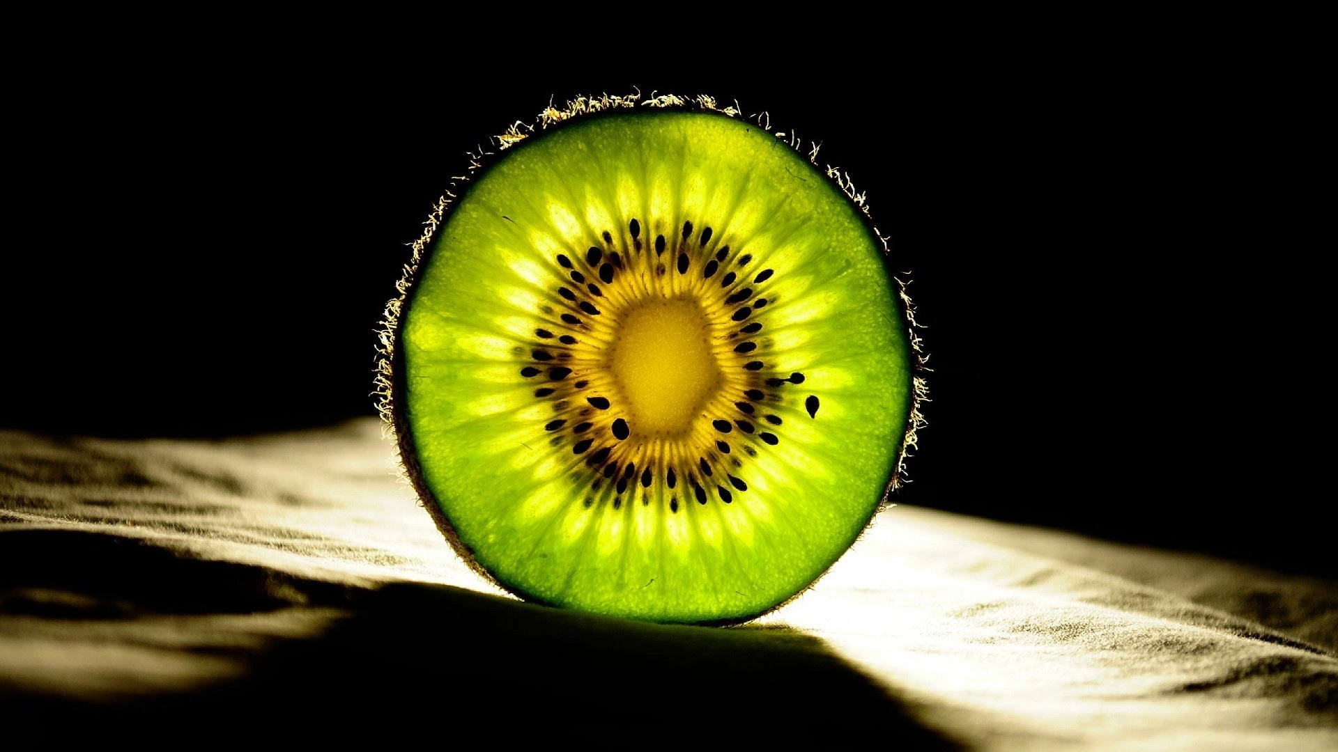Green and White Flower in Close up Photography. Wallpaper in 1920x1080 Resolution