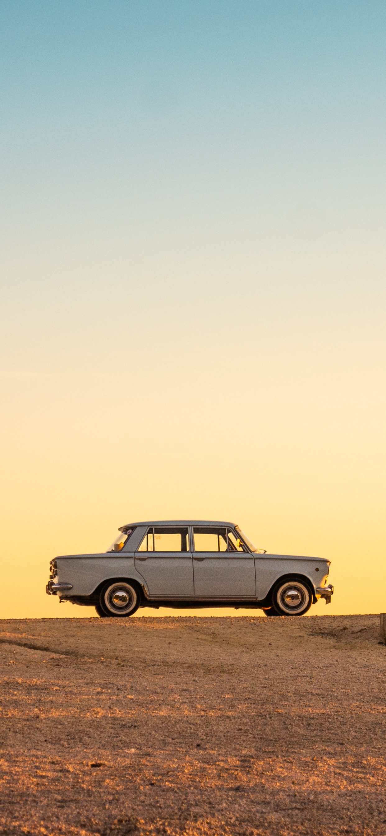 Été, Esthétique, L'écorégion, Pneu. Wallpaper in 1242x2688 Resolution