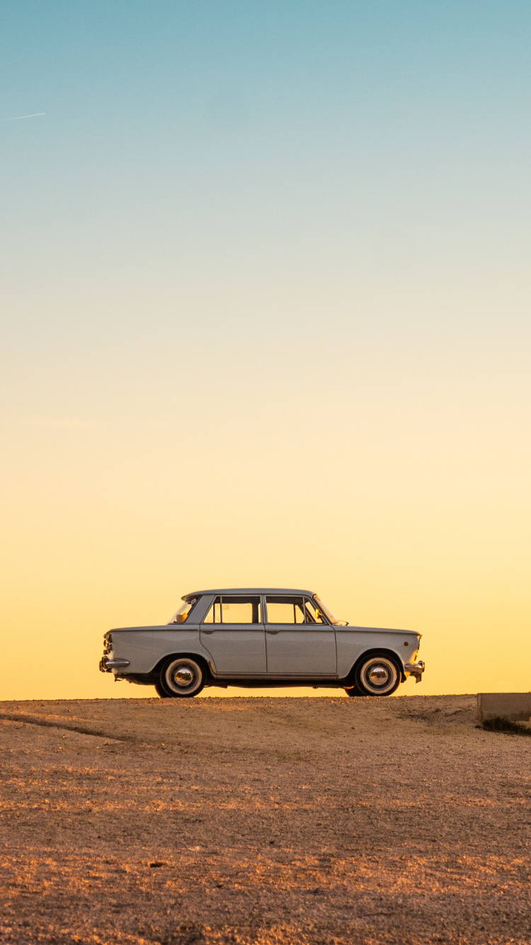 Summer, Aesthetics, Plant, Cars, Ecoregion. Wallpaper in 750x1334 Resolution