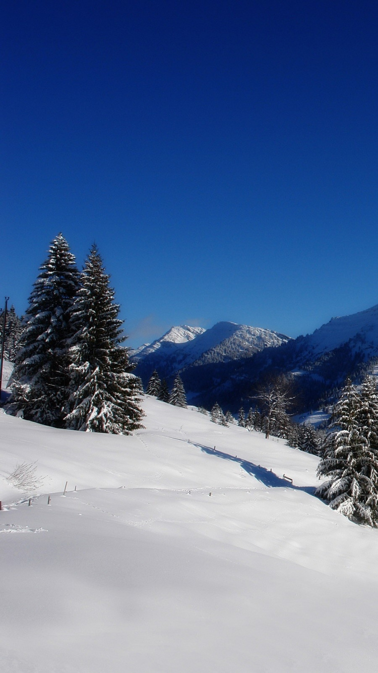 Montagne Couverte de Neige Sous Ciel Bleu Pendant la Journée. Wallpaper in 750x1334 Resolution