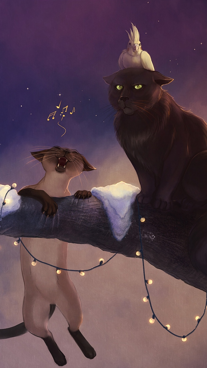 Chat, Chat Noir, Chapeau de Sorcière, Cartoon, Coiffures. Wallpaper in 720x1280 Resolution