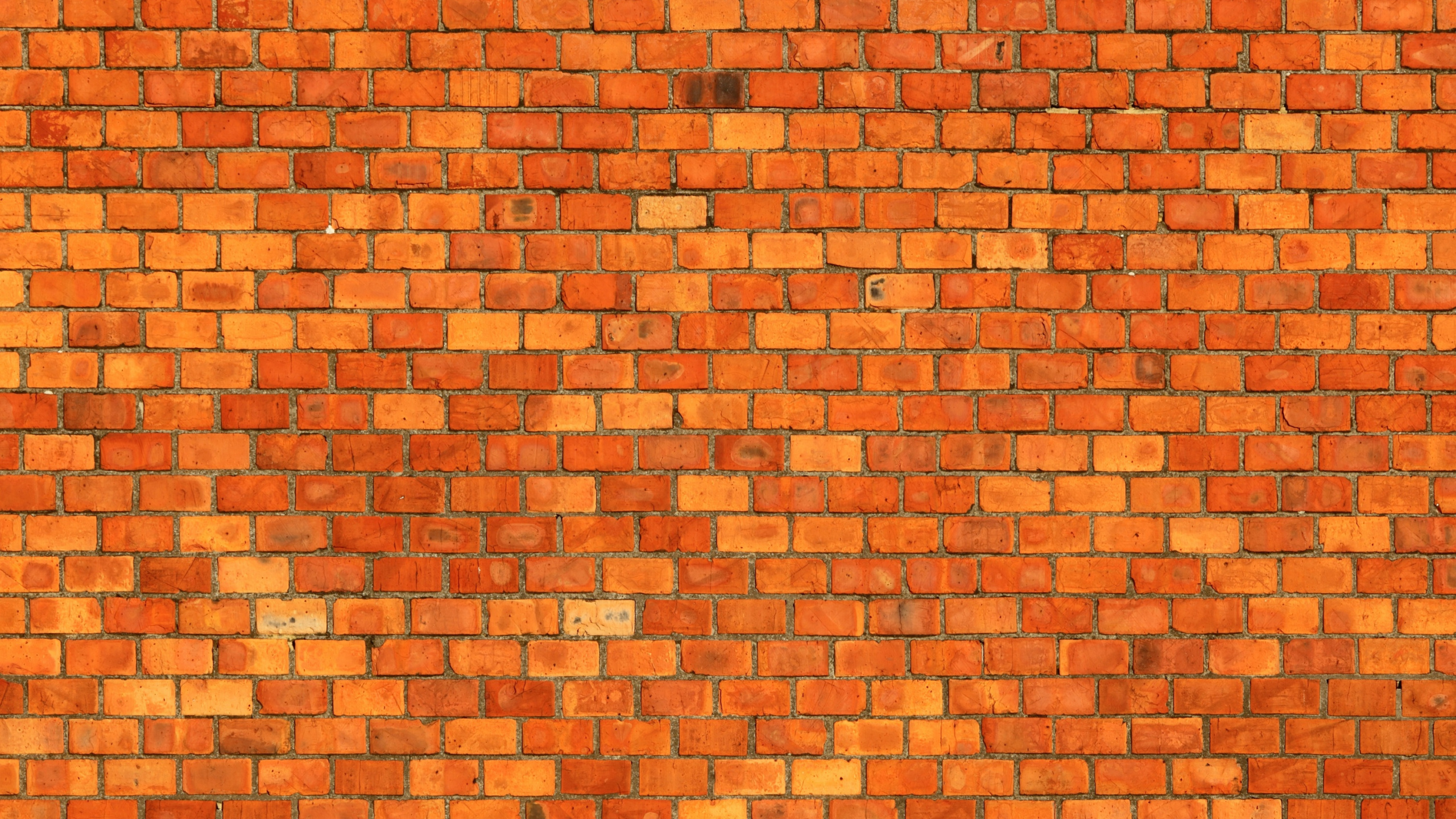 Brown Brick Wall During Daytime. Wallpaper in 2560x1440 Resolution