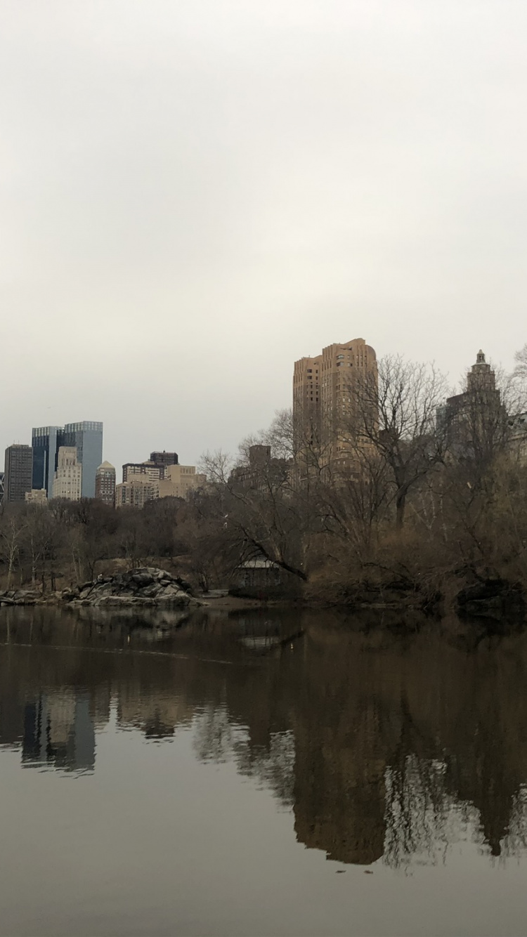 Reflexion, Gewässer, Wasserressourcen, Wasserstraße, Bank. Wallpaper in 750x1334 Resolution