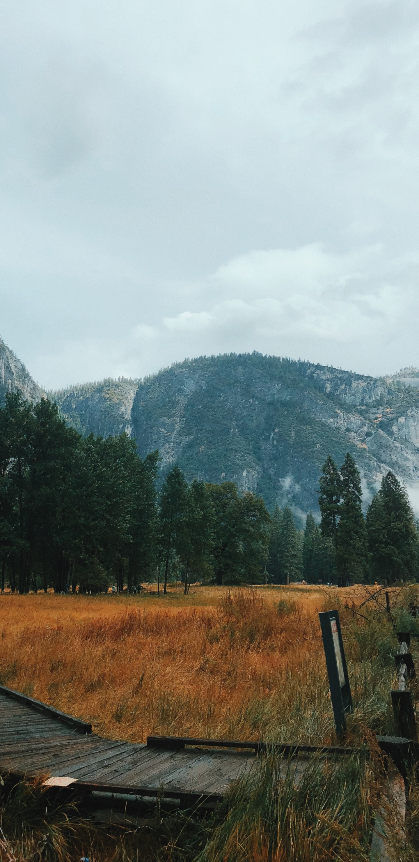 Californie, Unis, la Vallée de Yosemite, le Parc National de Yosemite, Highland. Wallpaper in 1440x2960 Resolution