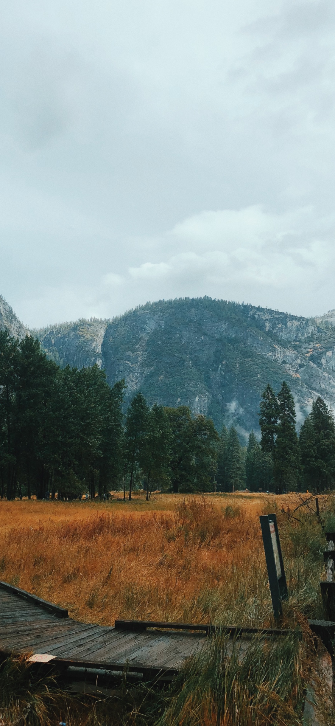 California, el Valle de Yosemite, el Parque Nacional de Yosemite, Montaña, Highland. Wallpaper in 1125x2436 Resolution