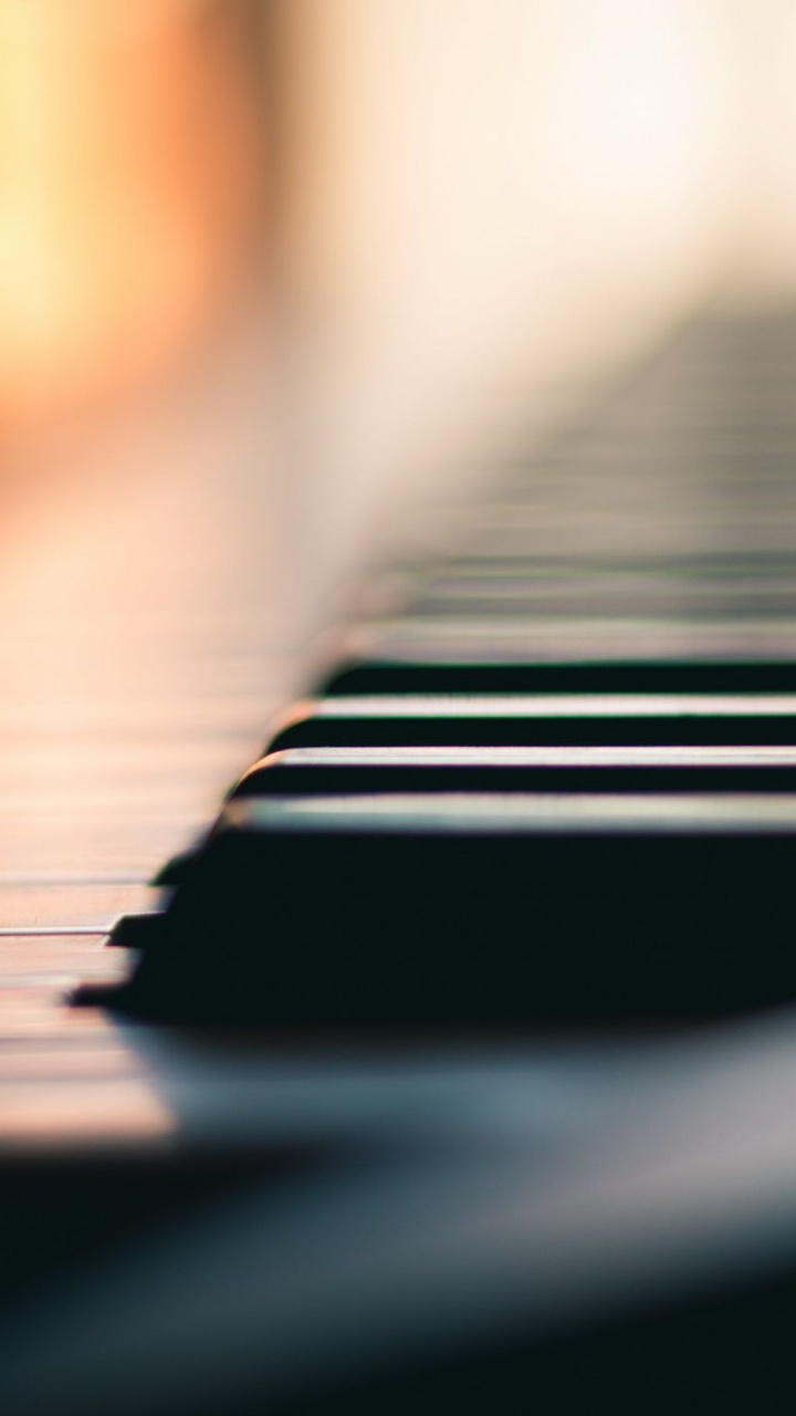 Piano, Keyboard, Musical Keyboard, Musical Instrument, Hand. Wallpaper in 720x1280 Resolution