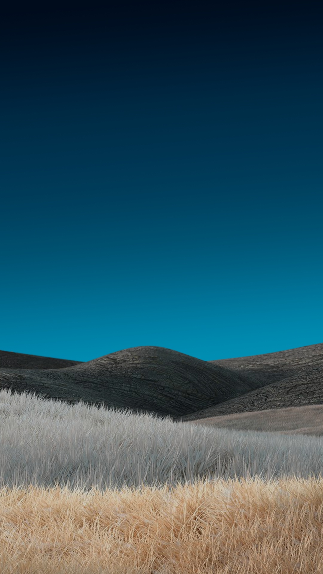 Grassland, Grasses, Steppe, Cloud, Azure. Wallpaper in 1080x1920 Resolution