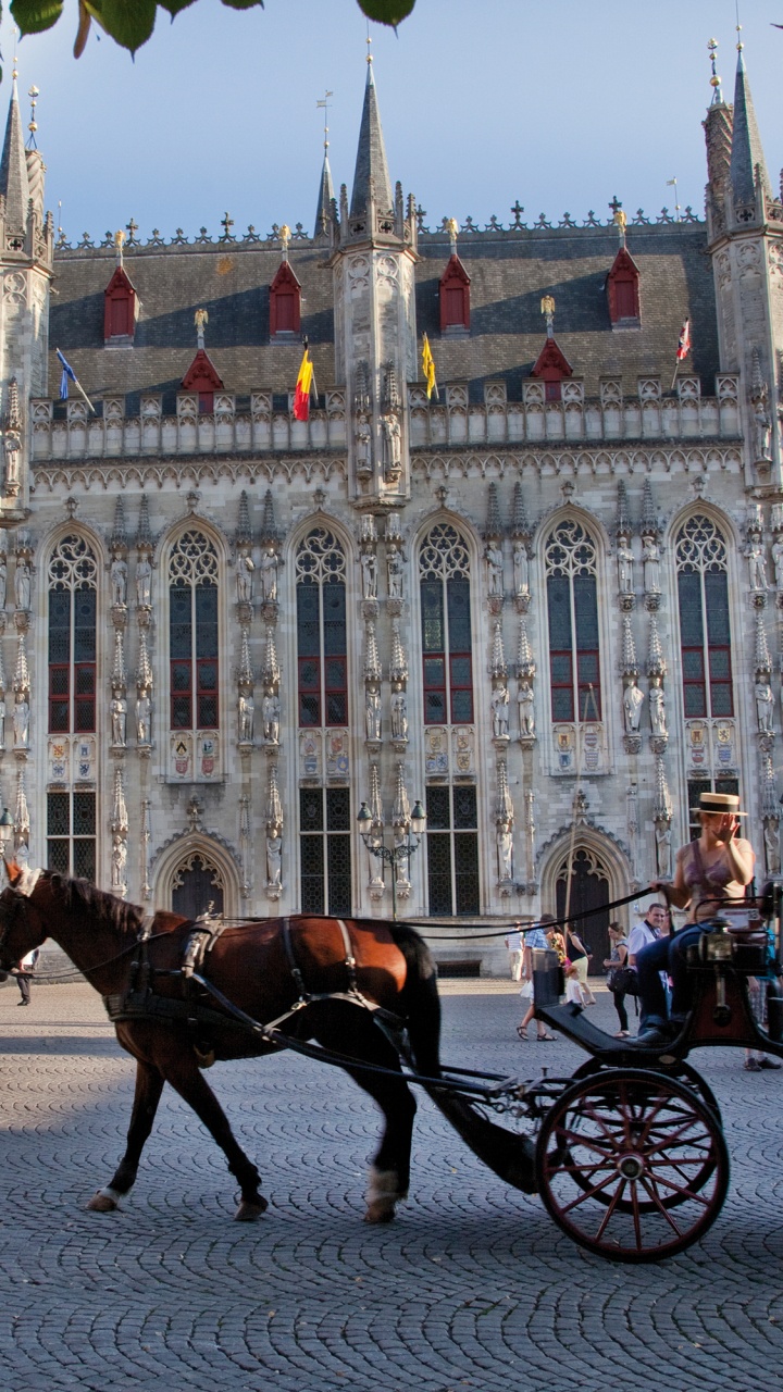 Personnes à Cheval Devant un Bâtiment en Béton Blanc Pendant la Journée. Wallpaper in 720x1280 Resolution