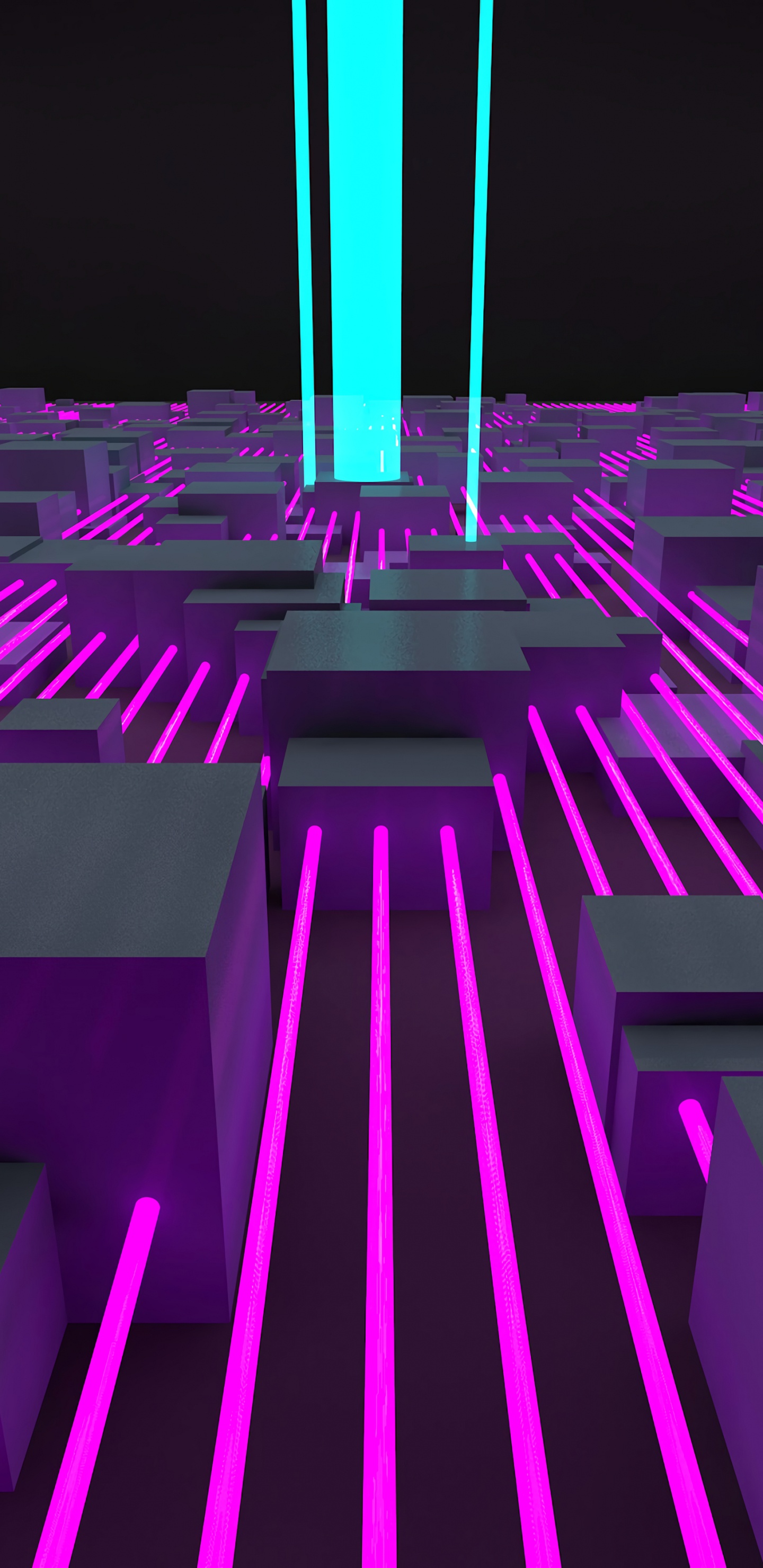 Lila Und Rosa Leuchte. Wallpaper in 1440x2960 Resolution