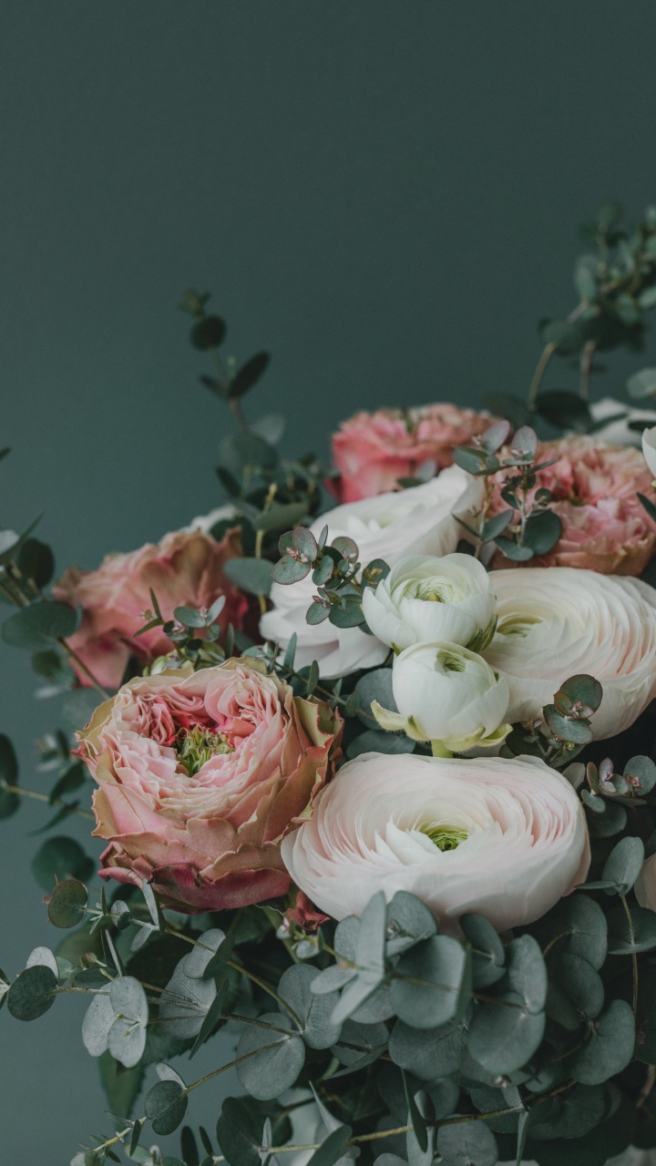 Flower, Petal, Plant, Pink, Hybrid Tea Rose. Wallpaper in 720x1280 Resolution