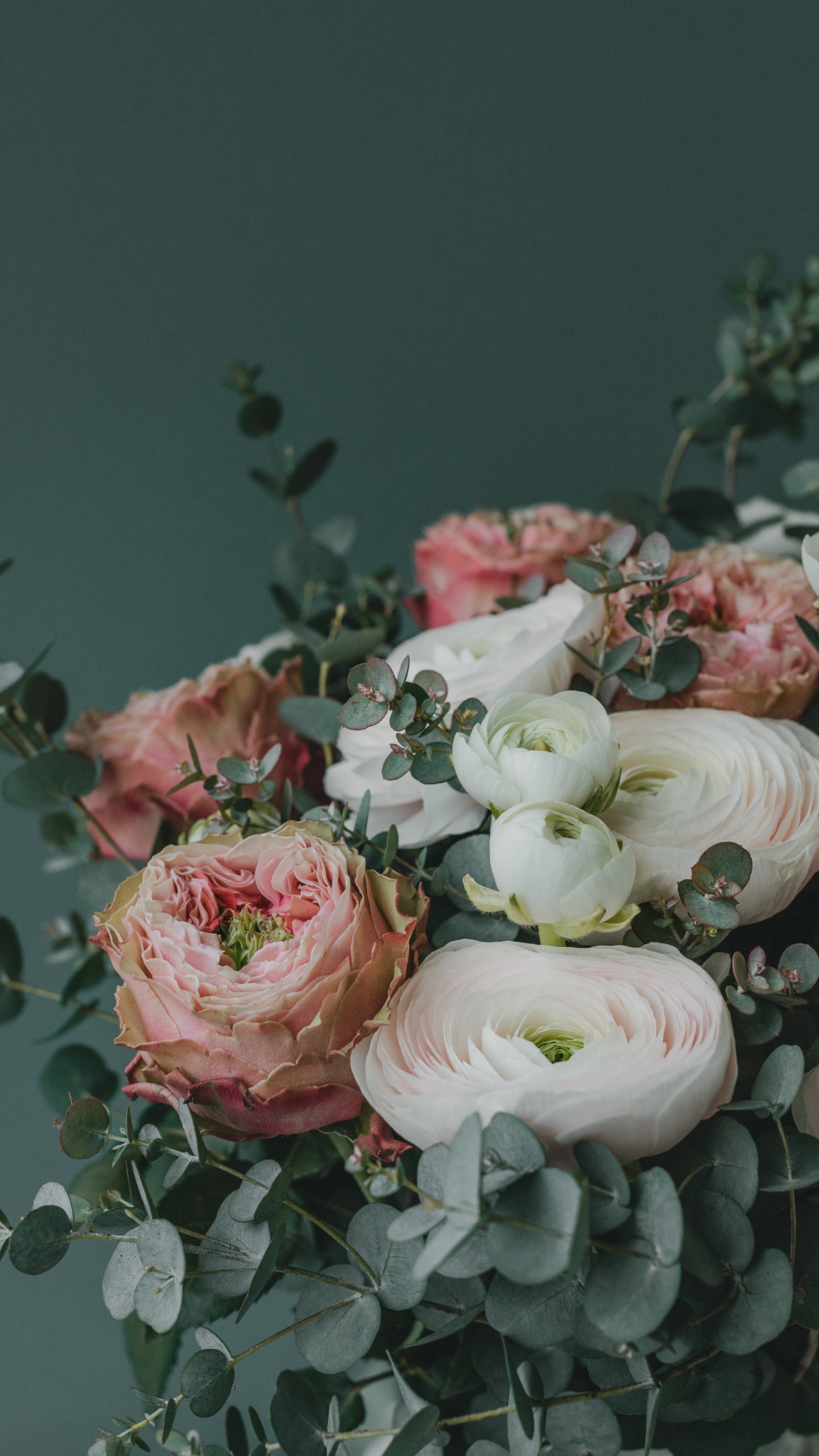 Pétale, Pink, Hybride de Thé à la Rose, L'arrangement Des Fleurs, Bouquet. Wallpaper in 1440x2560 Resolution