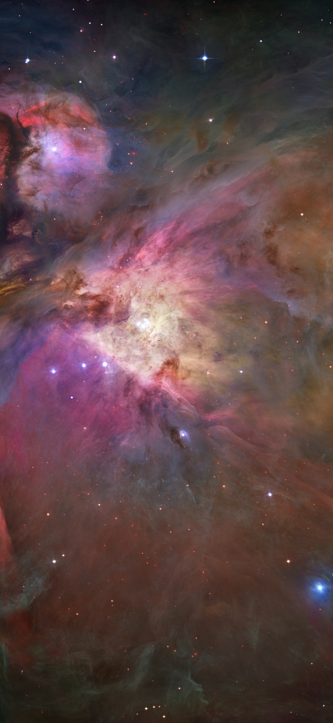 Nebula, Star, Orion Nebula, Hubble Space Telescope, Orion. Wallpaper in 1125x2436 Resolution