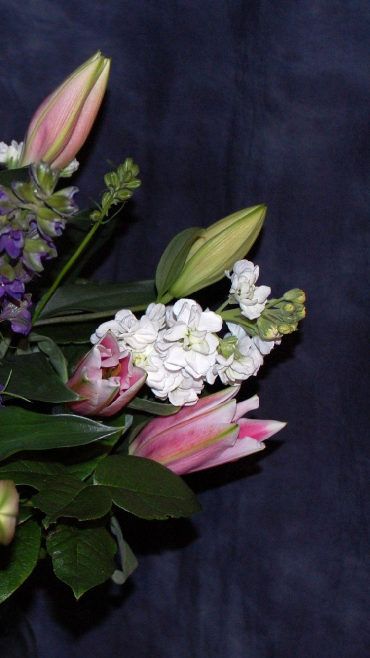 Ramo de Flores Blancas y Moradas. Wallpaper in 750x1334 Resolution